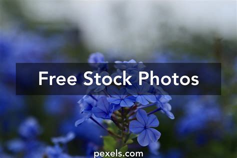 is gayboystube down|Free Website Down Checker .